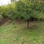 Casa De La Fuente בית נופש *