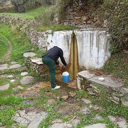 Casa De La Fuente *