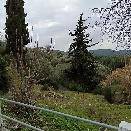 Casa De La Fuente Semesterbostad Ditropo