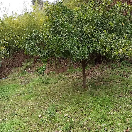 Casa De La Fuente Dom wakacyjny *