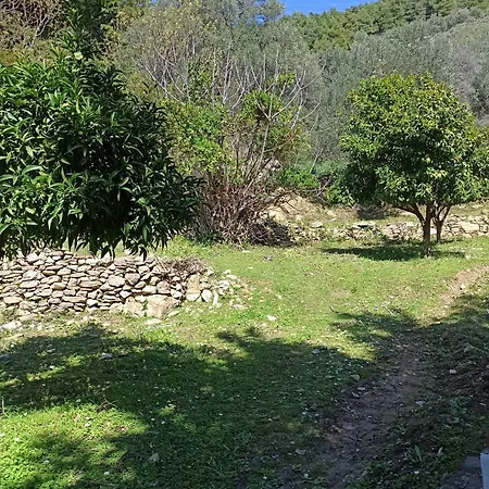 Dom wakacyjny Casa De La Fuente *