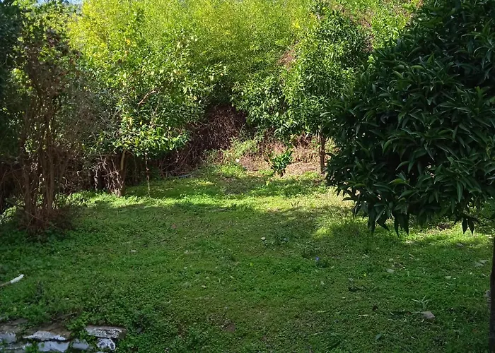 Casa De La Fuente * Ditropo