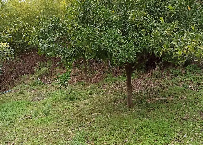 Casa De La Fuente Casa vacanze *